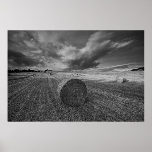 Poster Campo de &Cevada B&W (Frente)