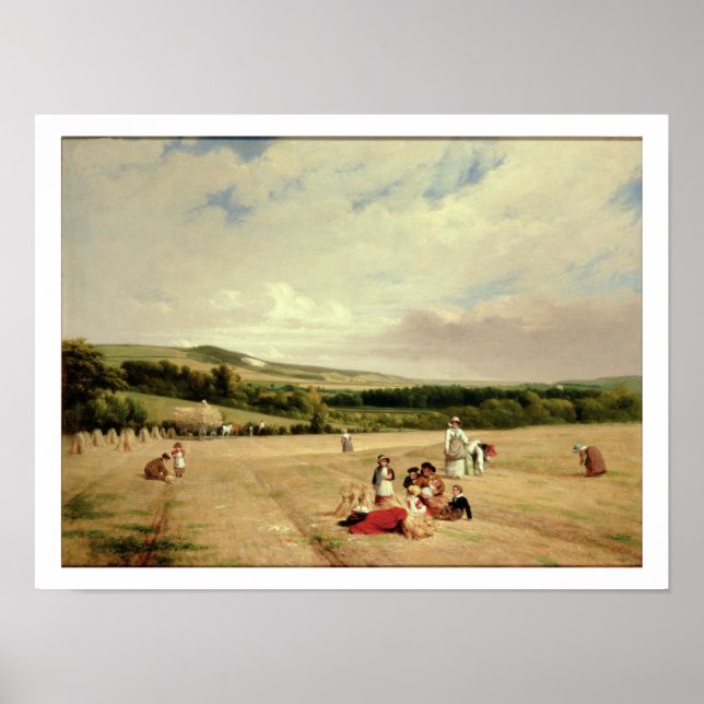 Poster Campo de colheita (óleo na canvas) (Frente)