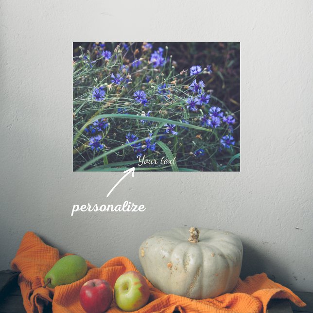 Poster Campo de Cornflower (Criador carregado)