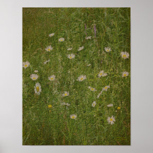 Póster Campo de Efeito Texturizado Floral