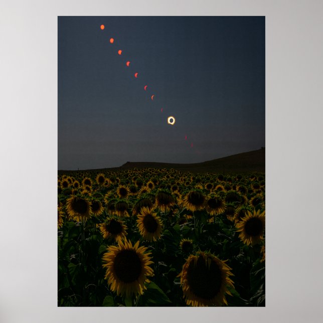 Poster Campo de Girassóis Celestiais Arte Impressa  (Frente)