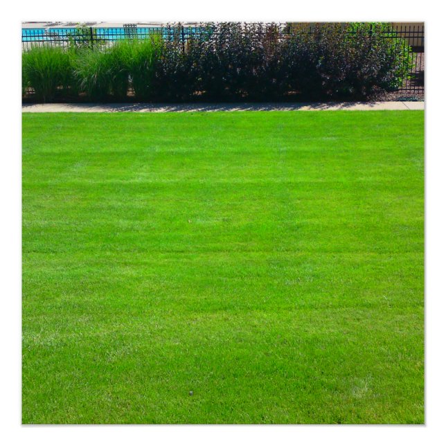 Póster Campo de Grass Perfect Poster (Frente)