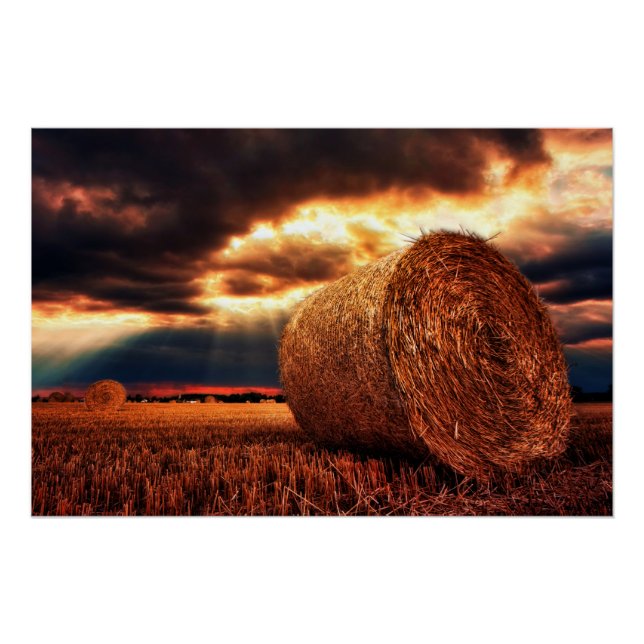 Póster Campo de Hay Bales (Frente)