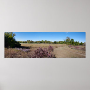 Póster Campo de Kansas