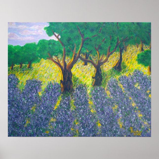 Póster Campo de lavanda (Frente)