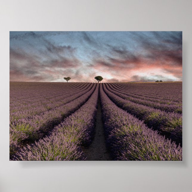 Poster Campo de lavanda na Provença (Frente)