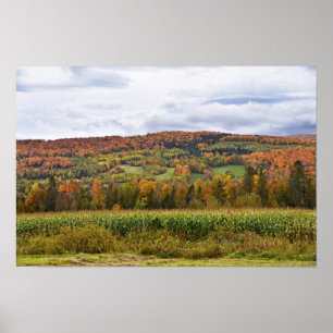 Poster Campo de Milho de Vermont no Outono
