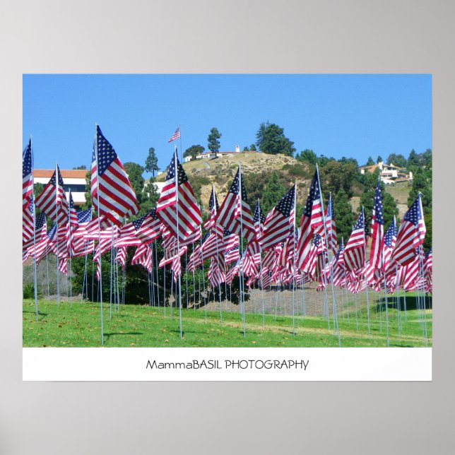 Póster Campo De Sinalizadores Poster! (Frente)