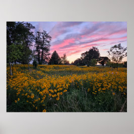 Poster Campo de Sonhos