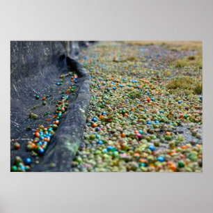 Póster Campo de Sonhos