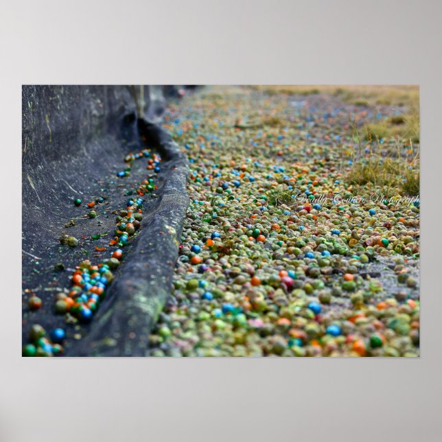 Póster Campo de Sonhos (Frente)