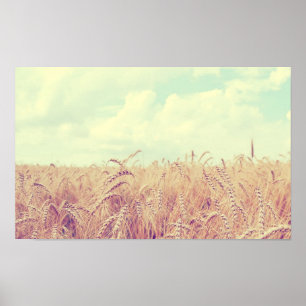 Poster Campo de trigo