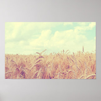 Poster Campo de trigo