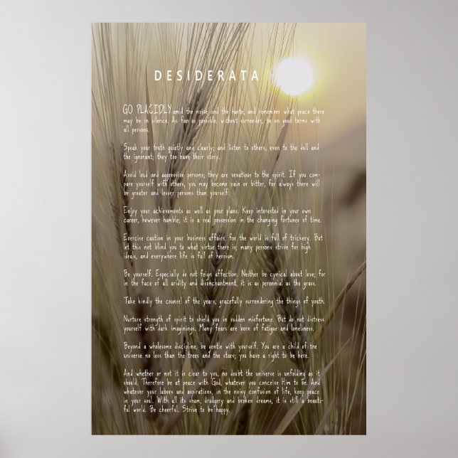 Poster Campo de trigo DESIDERATA (Frente)