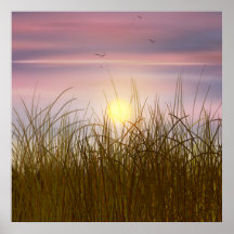 Campo de trigo Dourado Céu Sol Pintor Óleo Verão
