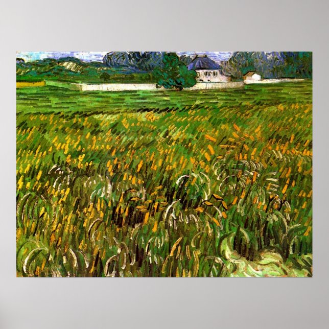 Póster Campo de Trigo em Auvers de Vincent van Gogh (Frente)