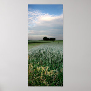 Poster Campo de trigo no centro-oeste