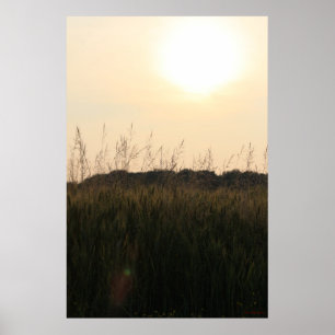Póster Campo de Verão