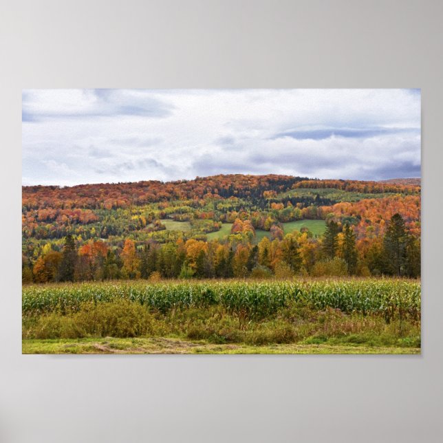 Poster Campo de Vermont Corn no outono (Frente)