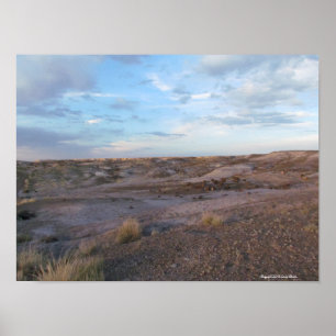 Poster Campo Floresta Petrificada