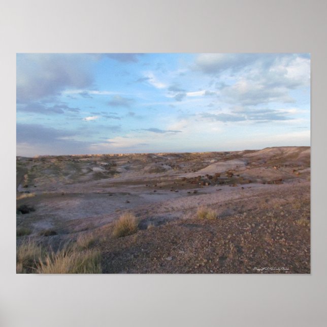 Poster Campo Floresta Petrificada (Frente)