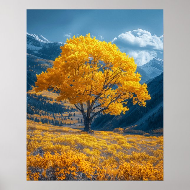 Poster Campo ouro (Frente)