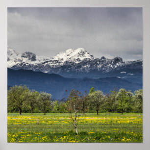 Poster Campo verde com Alpes nevados