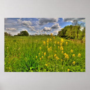 Poster Campo Verde e céu azul nublado