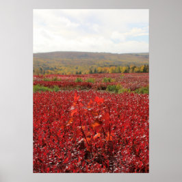 Poster Campo Vermelho