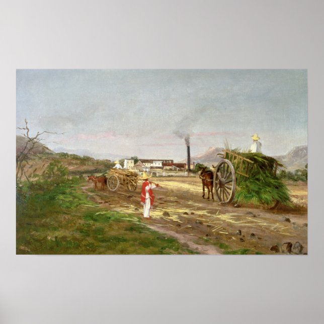 Poster Camponeses que recolhem cana-de-açúcar (Frente)