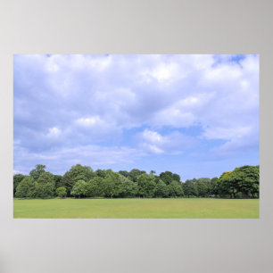 Poster Campos Blackweir. Bute Park, Cardiff, Gales.