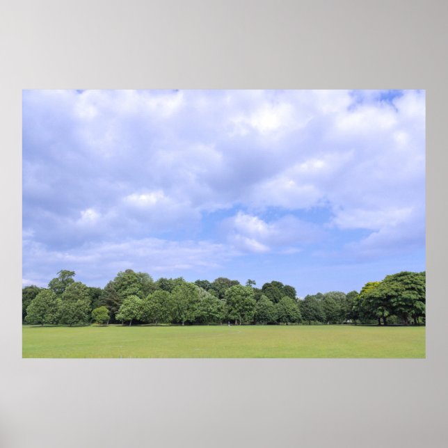 Poster Campos Blackweir. Bute Park, Cardiff, Gales. (Frente)