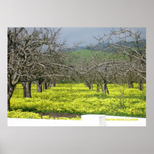 Póster Campos da mostarda do pomar