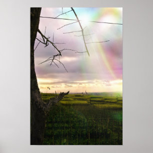 Poster Campos de Bali