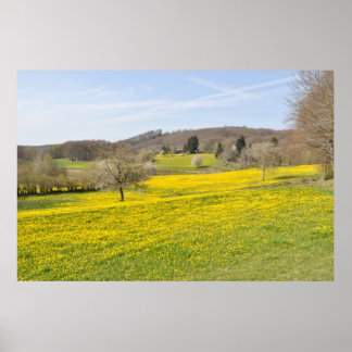 Póster Campos de dandelion