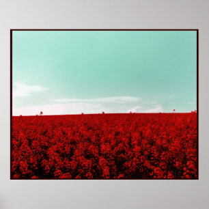 POSTER CAMPOS DE ESTRANHA PARA SEMPRE