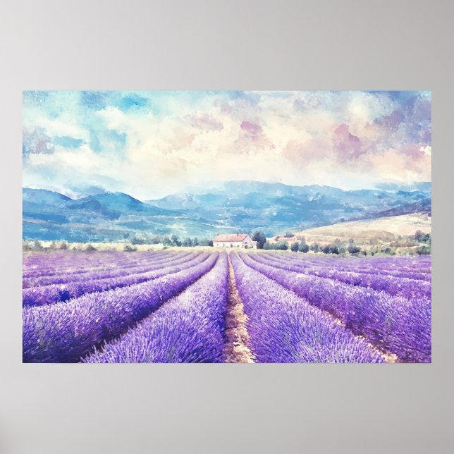 Poster Campos de lavanda lindos (Frente)