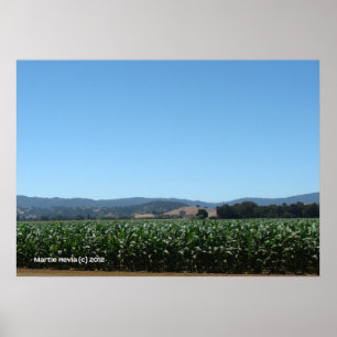 Poster Campos de milho