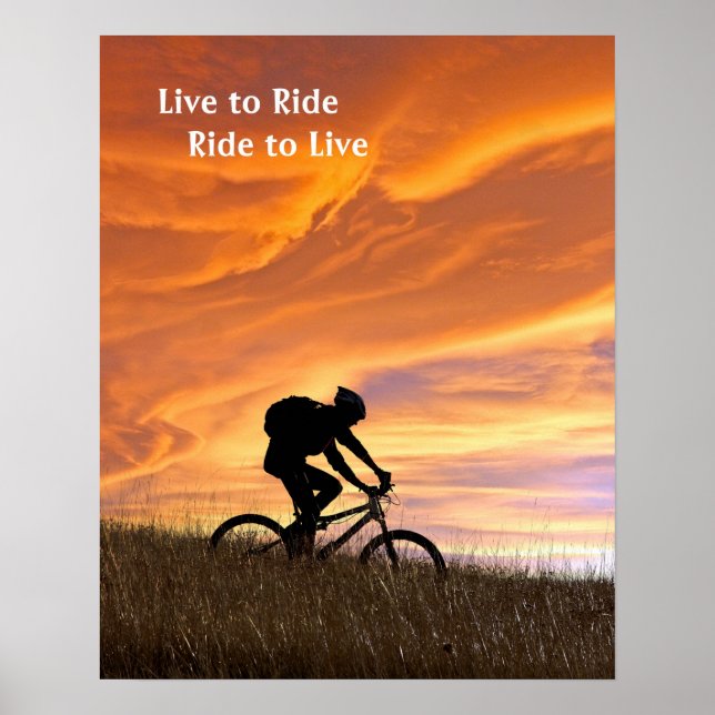 Póster Campos de ouro (Frente)