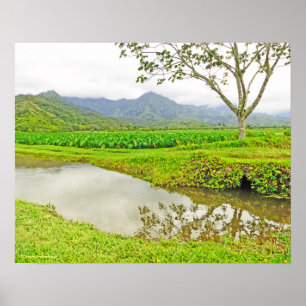 PÓSTER "CAMPOS DE TARO A CAMINHO DE HANALEI"