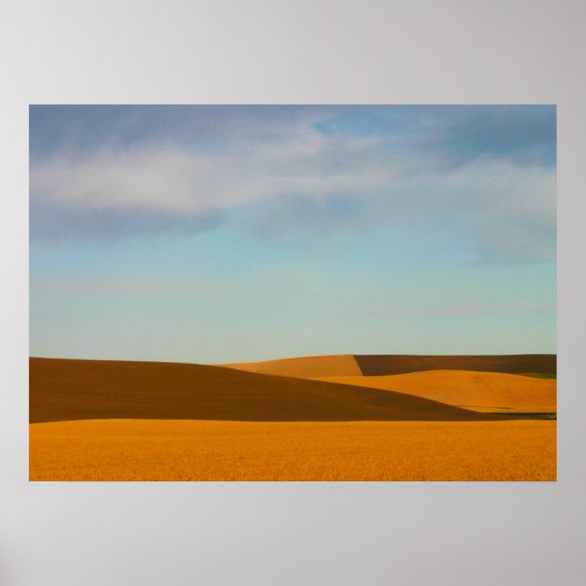Poster Campos de trigo ouro na região de Palouse (Frente)