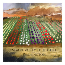 Campos de Tulipas da WA Skagit Valley Sonhando na