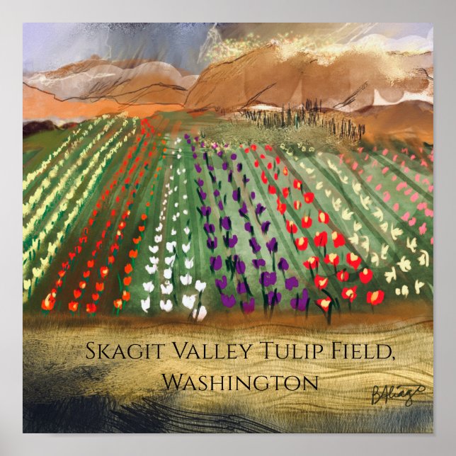 Poster Campos de Tulipas do Vale de Skagit de WA Sonhando (Frente)