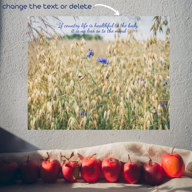 Poster Campos de Verão solares (Criador carregado)