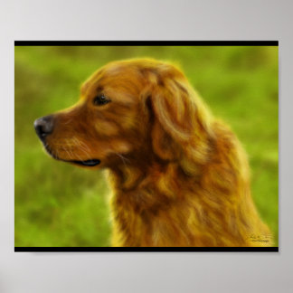 Póster Campos do ouro