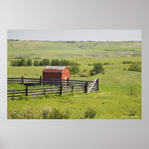 Póster Campos do pasto com uma barraca vermelha e uma