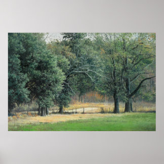 Póster Campos do Tallahassee 1