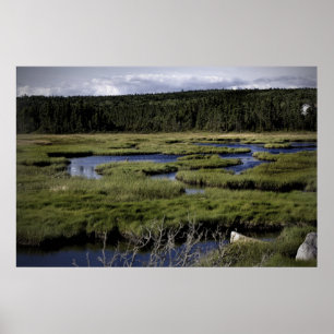 Póster Campos e Streams de tela de artes plásticas
