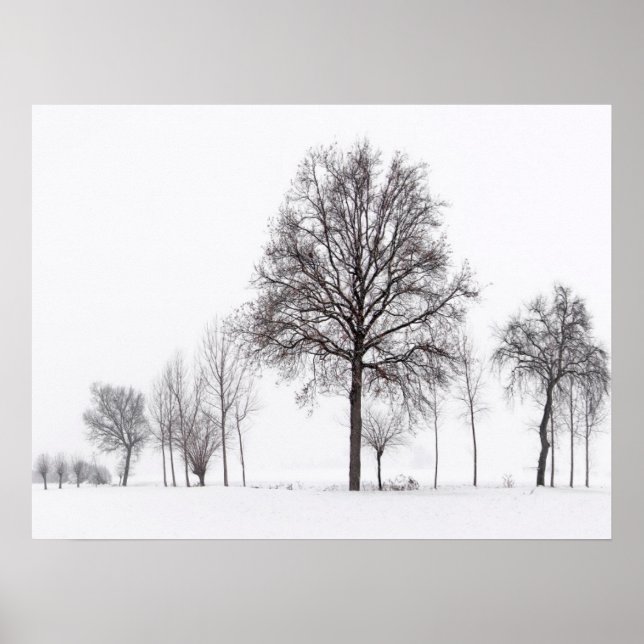 Poster Campos em torno do Scalenghe | Piemonte, Itália (Frente)