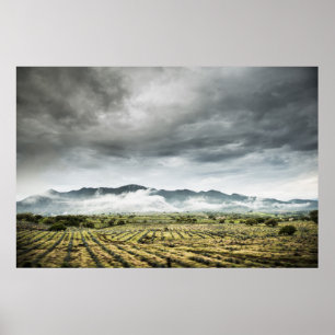 Póster Campos rurais da colheita sob o céu nebuloso